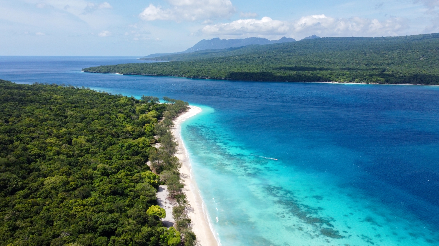Oil & Gas in Timor-Leste: legal landscape